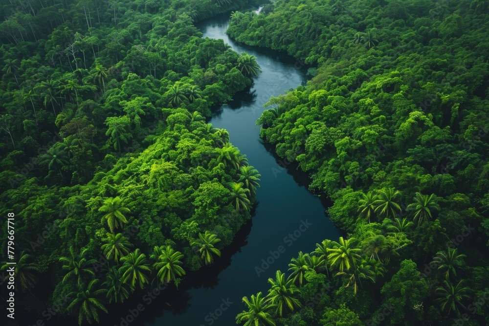 A river gracefully runs through a dense green forest, surrounded by vibrant foliage and towering trees, A river twisting through a lush rainforest, AI Generated