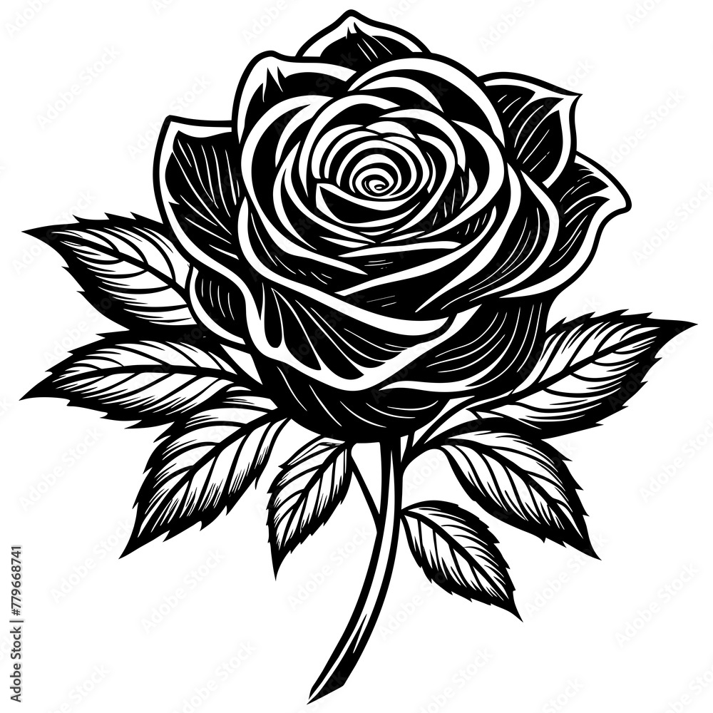 Flower vector illustration.
Flower vector illustration.