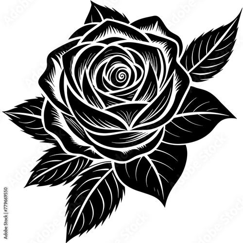    Flower vector illustration.
