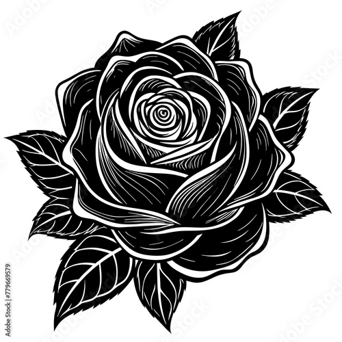    Flower vector illustration.
