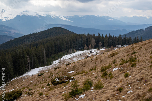 early spring in the mountains, the last snow is melting in the valley photo