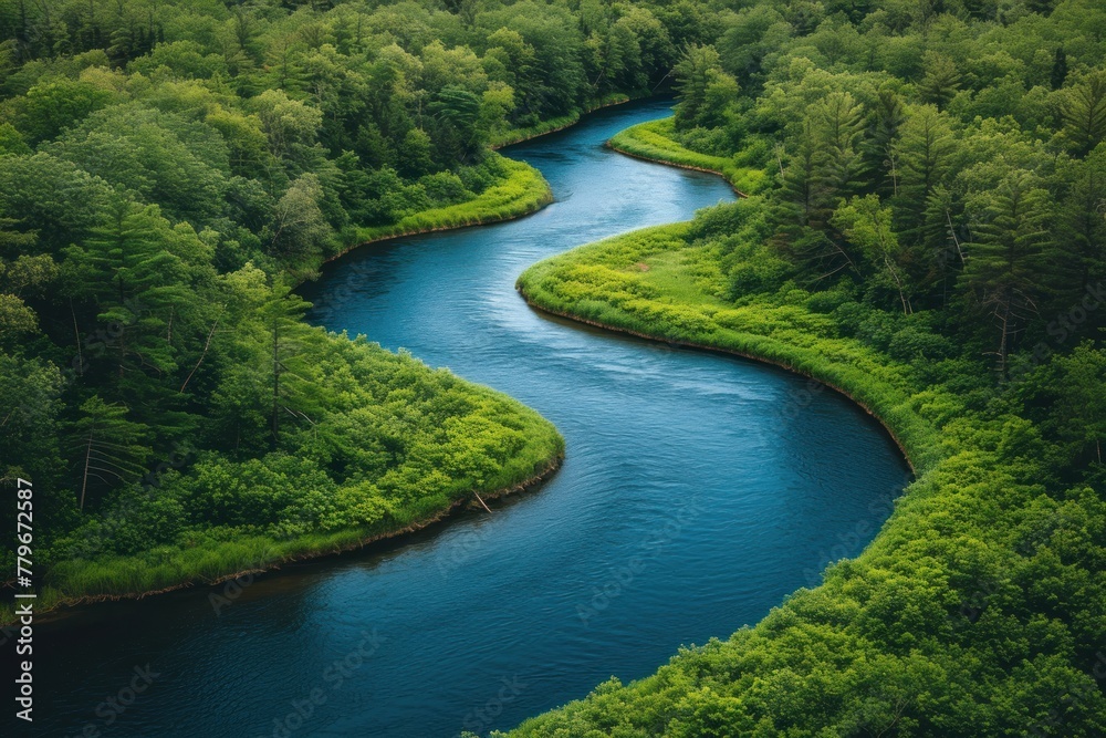 Aerial view of a winding river through a lush forest, showcasing breathtaking natural landscapes, for environmental themes