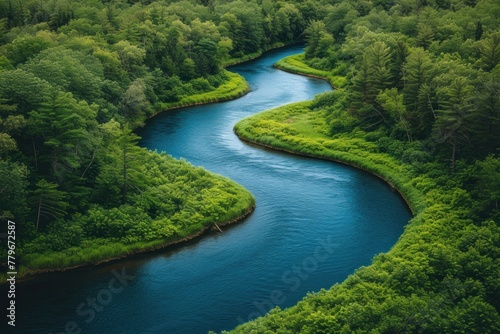 Aerial view of a winding river through a lush forest, showcasing breathtaking natural landscapes, for environmental themes