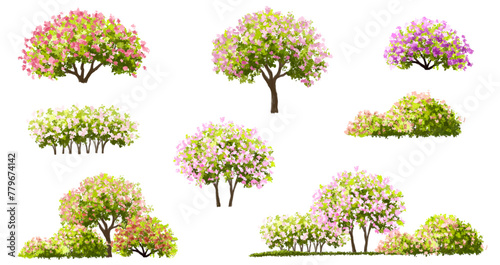 Vector watercolor blooming flower tree or forest side view isolated on white background for landscape and architecture drawing,elements for environment or and garden,shrub for section ,Set of floral