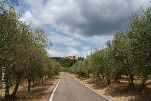 Rural landscape near Figline Valdarno, Tuscany photo