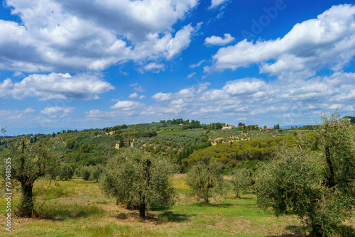 Rural landscape of Chianti  Tuscany  Italy