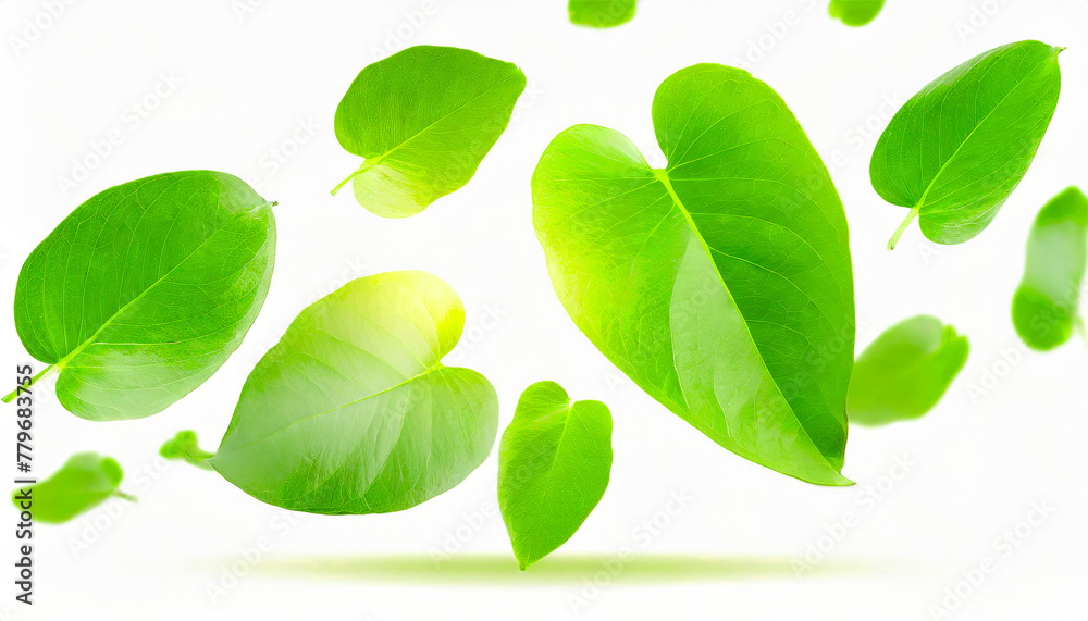 green leaves flying and floating in the air isolated on white background, Flying whirl green leaves in the air, Healthy products by organic natural ingredients concept. Generative AI green leaves flying and floating in the air isolated on white background, Flying whirl green leaves in the air, Healthy products by organic natural ingredients concept. Generative AI