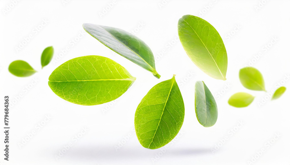 green leaves flying and floating in the air isolated on white background, Flying whirl green leaves in the air, Healthy products by organic natural ingredients concept. Generative AI green leaves flying and floating in the air isolated on white background, Flying whirl green leaves in the air, Healthy products by organic natural ingredients concept. Generative AI