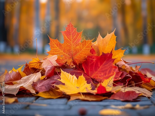 A pile of autumn leaves on a sidewalk. The leaves are red  yellow  and orange. The leaves are scattered and piled up in a heap