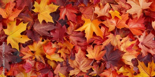 autumn leaf fall autumn landscape yellow-red leaf Generative AI