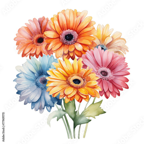 Colorful Gerbera Daisy Bouquet in Pink  Blue  Yellow  and Orange Watercolor on Transparent Background