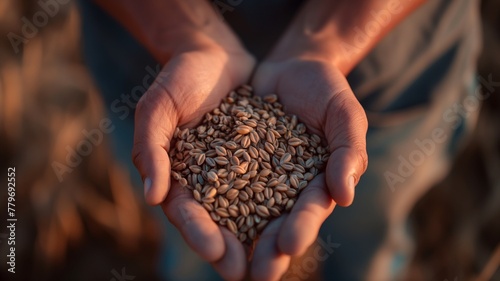Close-up of hands cradling a bounty of wheat grains, the golden hour sunset illuminates the harvest with warmth