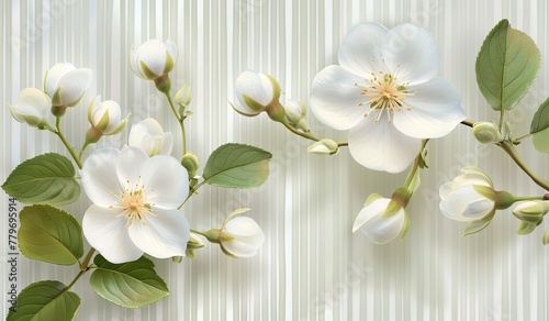 Elegant white spring blossoms on a striped background © volga