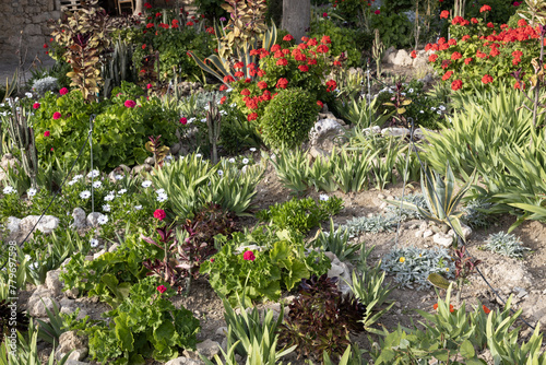 Fototapeta Naklejka Na Ścianę i Meble -  Lush Mediterranean Garden Landscape Blossoming Mediterranean Garden