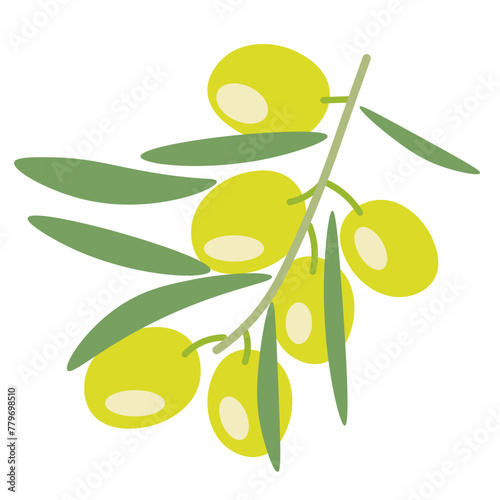 color isolated olive branch in flat shape style in vector. image of natural healthy eco food.template for logo sticker poster print decor design