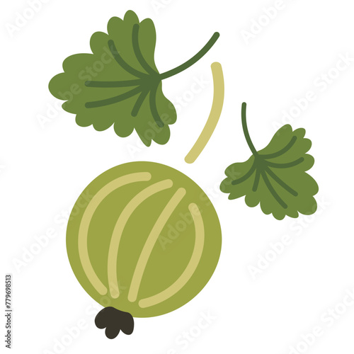 color isolated gooseberry in flat shape style in vector. image of natural healthy eco food.template for logo sticker poster print decor design