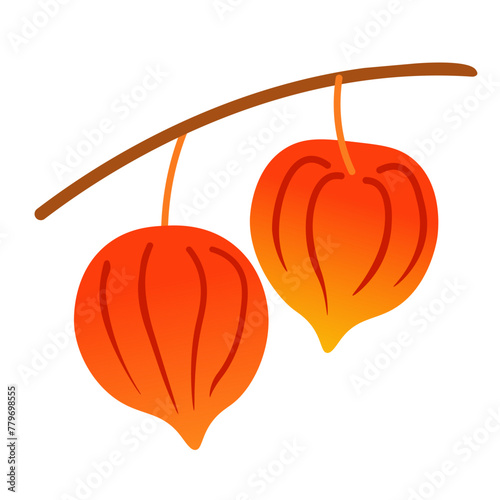 color isolated physalis berry in flat shape style in vector. image of natural healthy eco food.template for logo sticker poster print decor design