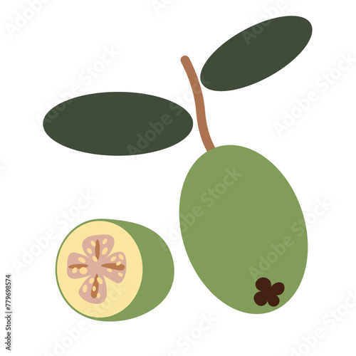 color isolated feijoa berry in flat shape style in vector. image of natural healthy eco food.template for logo sticker poster print decor design