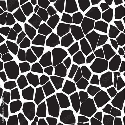 Vector Patterns: Black and White Abstract Collection