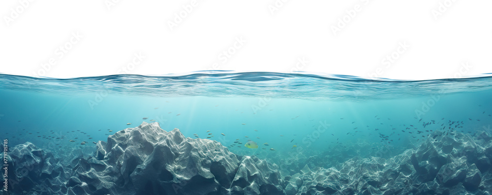 Obraz premium Serene underwater scene cut out