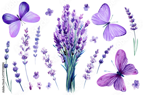 Lavender flowers and purple butterflies. Set of spring watercolor violet flowers, botanical painting floral illustration