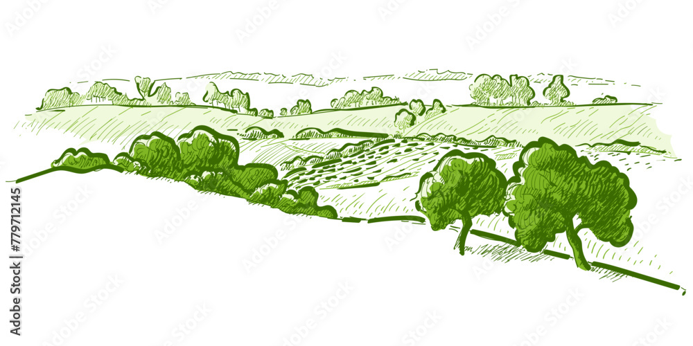 Watercolor field on small hills. Meadow green grass, grassland, pasturage, farm, trees. Rural scenery landscape panorama of countryside pastures. Hand drawn vector illustration Watercolor field on small hills. Meadow green grass, grassland, pasturage, farm, trees. Rural scenery landscape panorama of countryside pastures. Hand drawn vector illustration