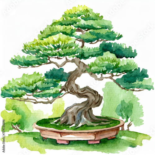 Namalowane drzewko Bonsai ilustracja