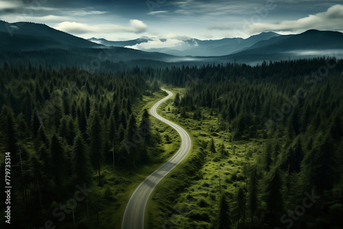 	
Generative Ai of winding forest road seen from above	
