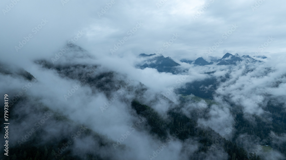 Beautiful high altitude foggy forest mountain landscape