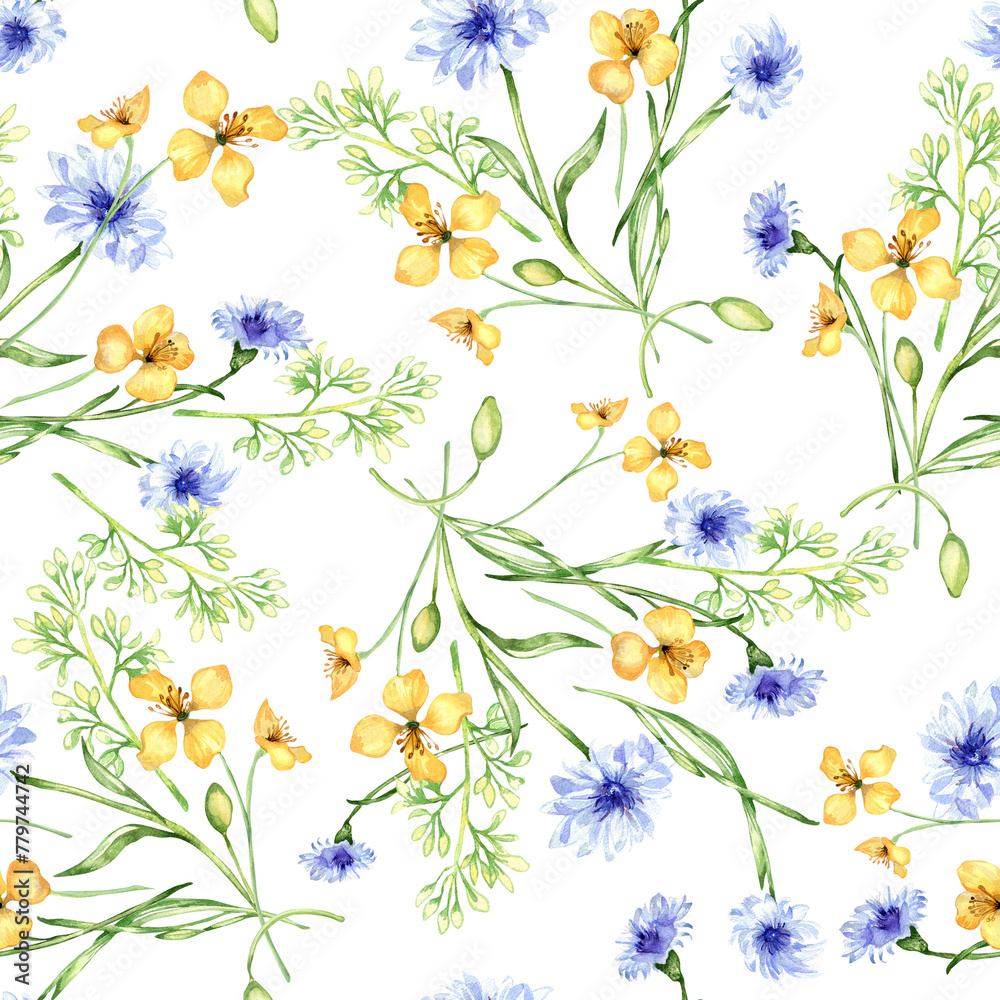 Yellow, blue meadow flowers in watercolor seamless pattern isolated on white. Celandine and cornflower in sketch. Medicinal plant, useful floral print hand drawn. Design for home textile, package