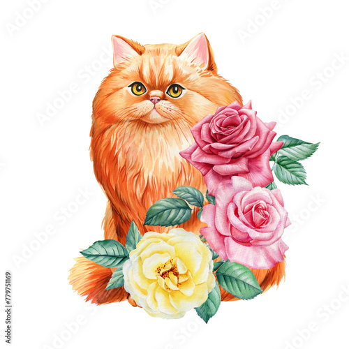 Beautiful red cat with garden rose flowers on isolated background. Watercolor painting, botanical illustration