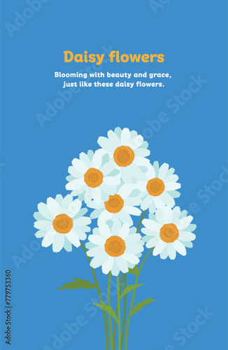 Illustration card design with white and yellow daisy flowers blooming in spring. Hand drawn illustration of a daisy in full bloom on a blue background.