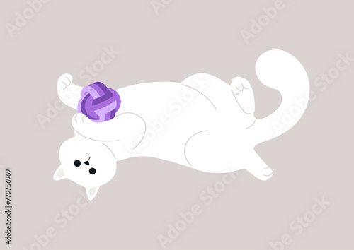 Playful Paws and Purple Ball, A Cats Blissful Afternoon Romp, A white kitten lazily lies belly up, clasping a toy