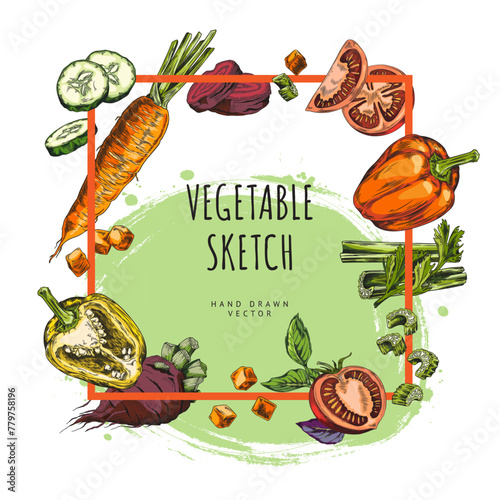 Square frame with hand-drawn vegetables. Vegetarianism.