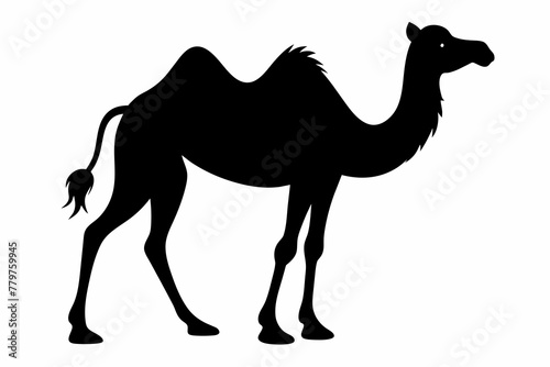 camel-silhouette-vector illustration