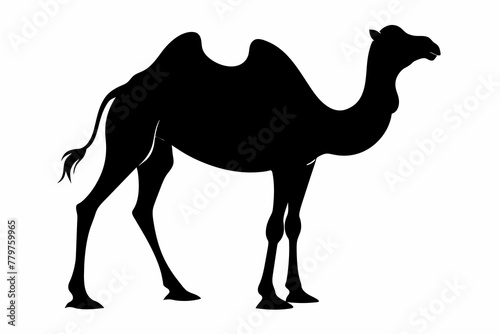 camel-silhouette-vector illustration