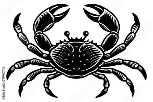 crab-isolated vector illustration -on-white-background