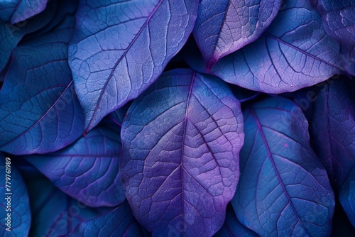 Exquisite Botanical Patterns of Blue Leaves Detail
