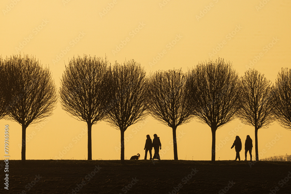 black silhouettes against the colourful background of the setting sun with people group