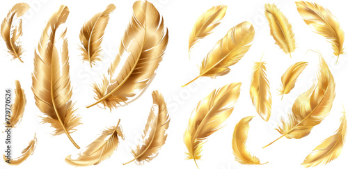 Decorative gold glamour chic plume. Flying, falling and twirling soft feather vector set.