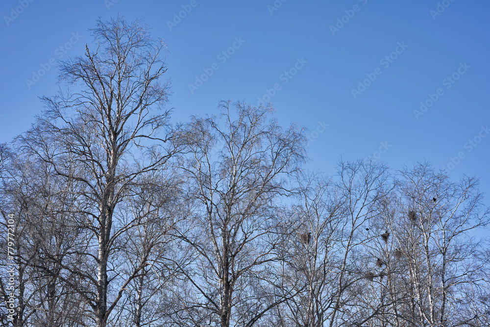 Images from a short morning walk in the cultural landscapes west of Lena, Toten, norway, a spring day of April 2024. Images from a short morning walk in the cultural landscapes west of Lena, Toten, norway, a spring day of April 2024.