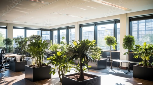 Natural light illuminates office plants on a windowsill