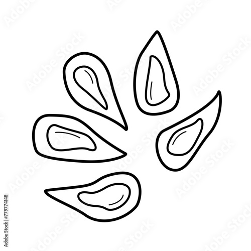 Open mussel shells set. Vector illustration of seafood delicacies isolated on white.