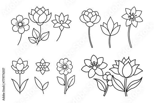 Fototapeta Naklejka Na Ścianę i Meble -  Set of hand-drawn botanical flowers line art vector. Collection of foliage, leaf branches, floral, flowers, roses, and line art.