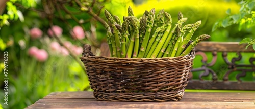 A charming basket of asparagus rests on a wooden bench  illuminated by dappled sunlight filtering through a verdant backdrop.