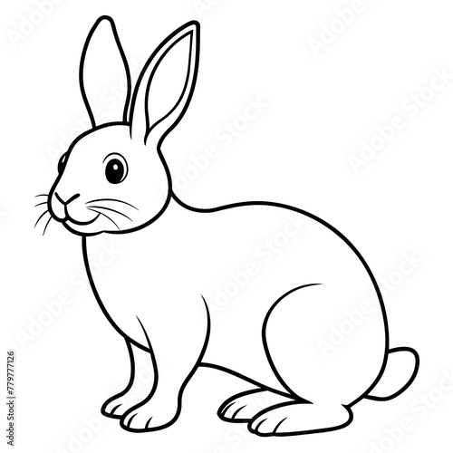White rabbit vector illustration
