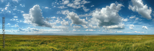 Beautiful panorama of a green field with the sea visible in the distance.