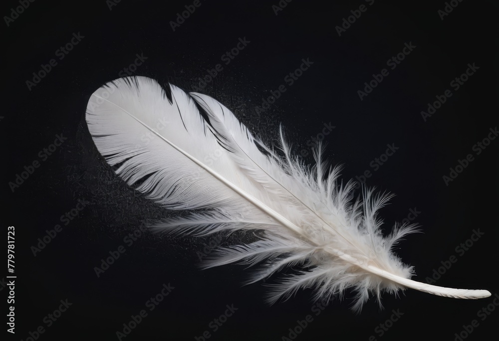 An isolated soft white feather gracefully lies on a pitch-black canvas, highlighting its delicate and airy texture AI generation An isolated soft white feather gracefully lies on a pitch-black canvas, highlighting its delicate and airy texture AI generation