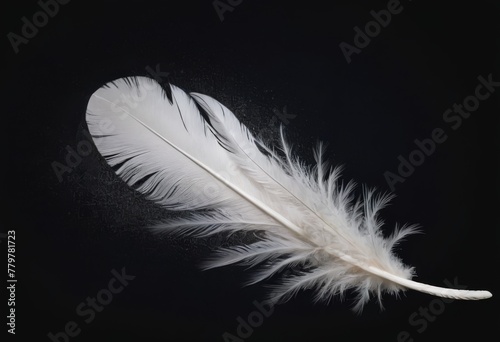 An isolated soft white feather gracefully lies on a pitch-black canvas, highlighting its delicate and airy texture AI generation