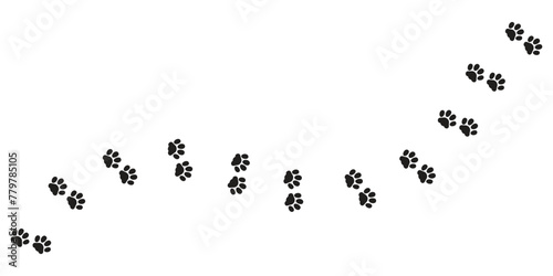 Paws, tiger tracks of a dog or cat, diagonal trail of animal tracks, vector black silhouettes.